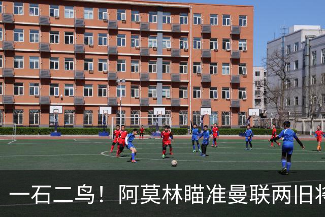 一石二鸟！阿莫林瞄准曼联两旧将，一租一买方案暗藏多重考量
