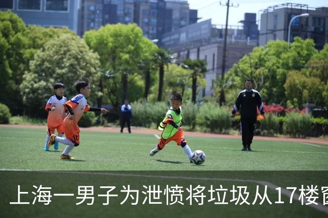 上海一男子为泄愤将垃圾从17楼窗户抛下，砸穿特斯拉Model Y天窗，事后向AI“请教”应对策略企图蒙混过关；警方通过外卖盒+猫砂锁定嫌疑人