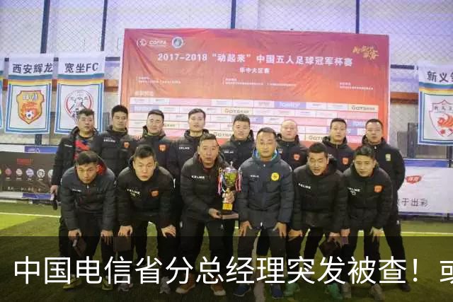 中国电信省分总经理突发被查！或与三个月前另一高管案情有关！
