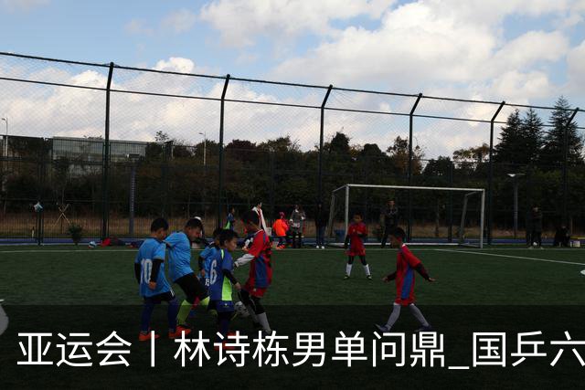 亚运会丨林诗栋男单问鼎 国乒六金收官