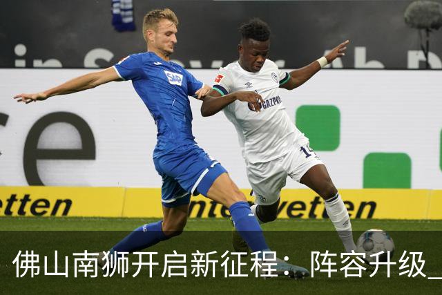 佛山南狮开启新征程：阵容升级 目标中甲前八