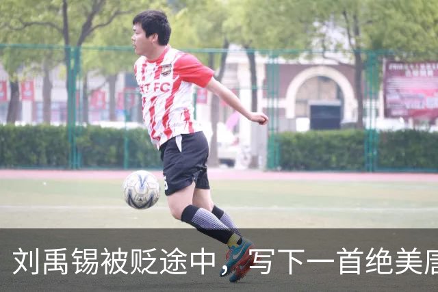 刘禹锡被贬途中，写下一首绝美唐诗，短短28字，成为千古名篇