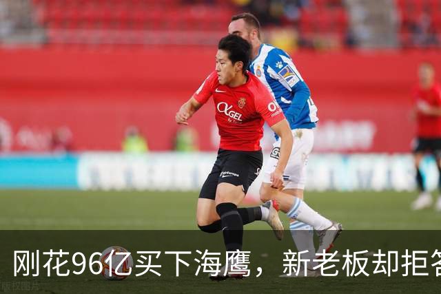 刚花96亿买下海鹰，新老板却拒答"永远留在西雅图"