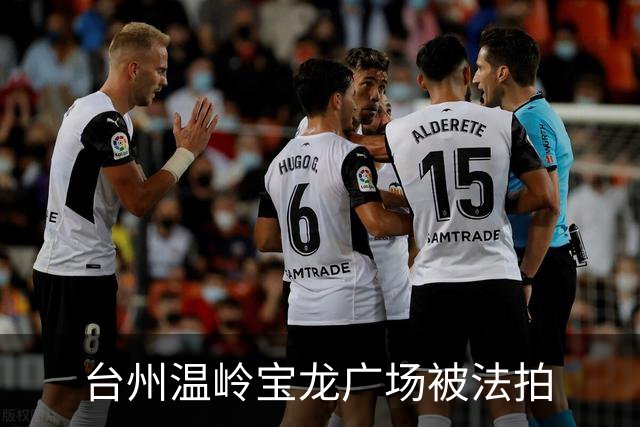 台州温岭宝龙广场被法拍