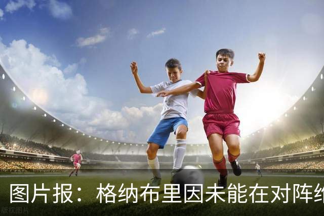 图片报：格纳布里因未能在对阵维京时获得出场机会而沮丧