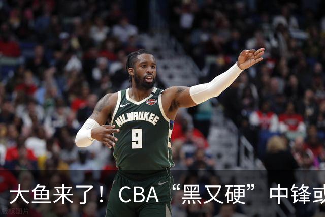 大鱼来了！CBA“黑又硬”中锋或被广东队截胡，年薪接近8位数？