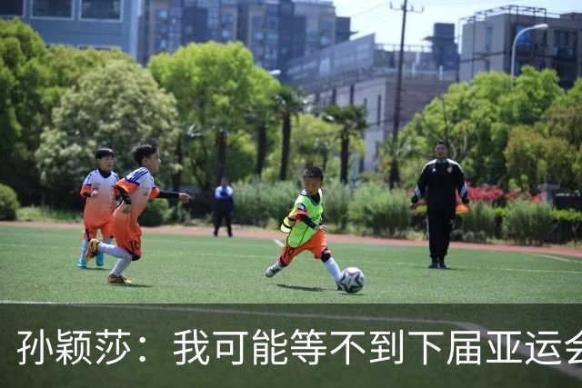 孙颖莎：我可能等不到下届亚运会了