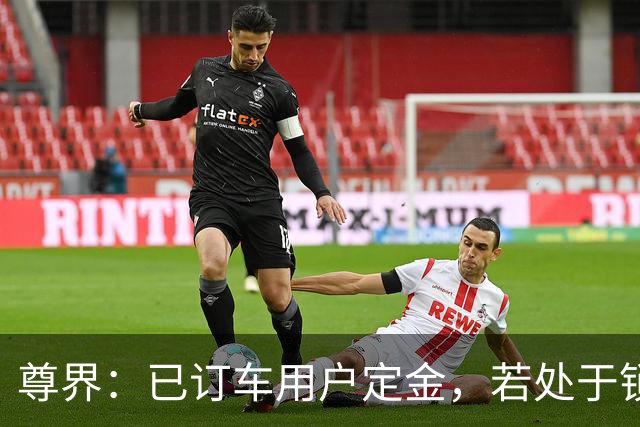 尊界：已订车用户定金，若处于锁定期，无法退款；车主：不提车了，哪怕定金不能退，能把刹车踏板支架都踩断，不可接受，基本安全感丧失了