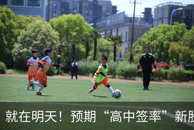 就在明天！预期“高中签率”新股，来了