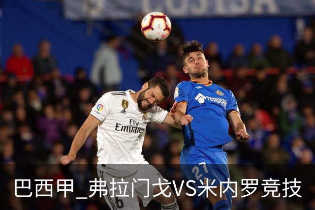 巴西甲 弗拉门戈VS米内罗竞技