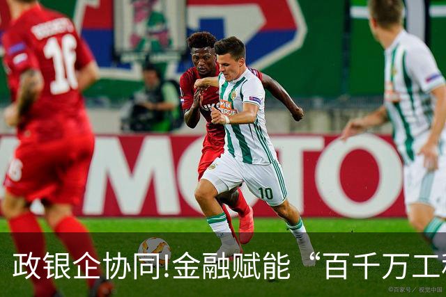 政银企协同!金融赋能“百千万工程”