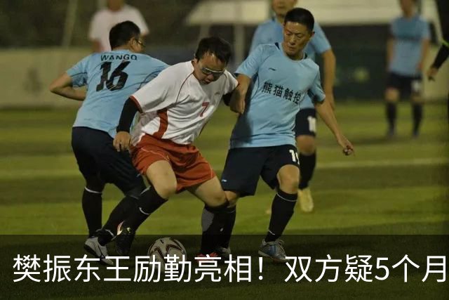 樊振东王励勤亮相！双方疑5个月未沟通 网友追问：何时回归国家队？