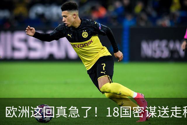 欧洲这回真急了！18国密谋送走移民！从欢迎到遣返，态度大转弯？