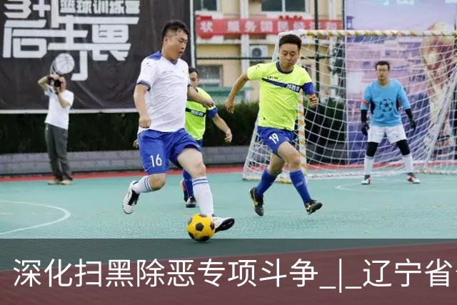 深化扫黑除恶专项斗争 | 辽宁省公安厅公布5起新型恶势力犯罪典型案例
