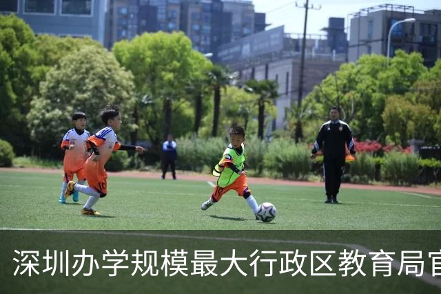 深圳办学规模最大行政区教育局官宣新“掌门”，是她！