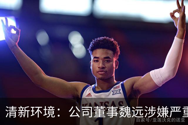 清新环境：公司董事魏远涉嫌严重违纪违法，正接受纪律审查和监察调查