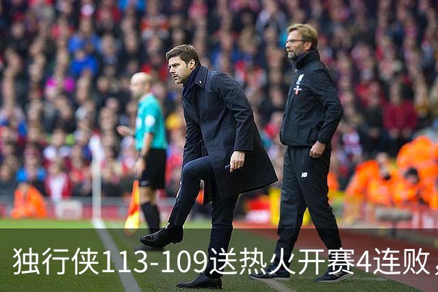 独行侠113-109送热火开赛4连败，弗拉格29+6+11，字母空砍29+15+11