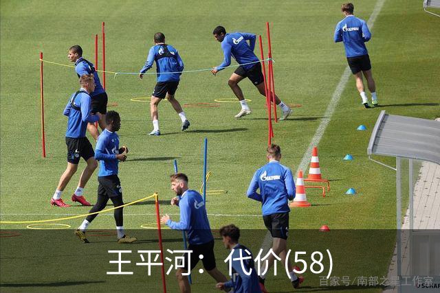 王平河：代价(5/8)
