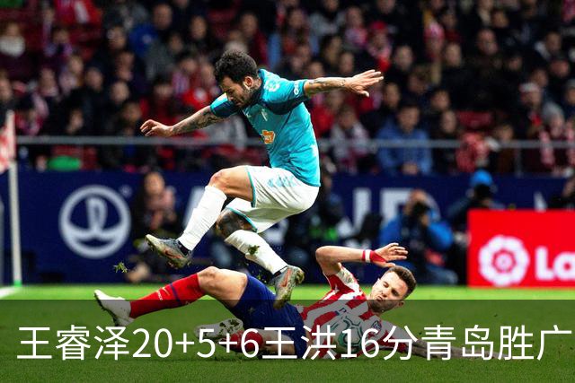 王睿泽20+5+6王洪16分青岛胜广厦 胡金秋15分