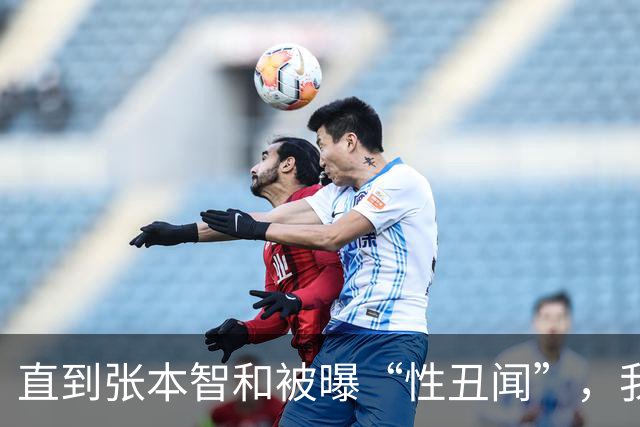直到张本智和被曝“性丑闻”，我才理解，为何樊振东执意要去德国