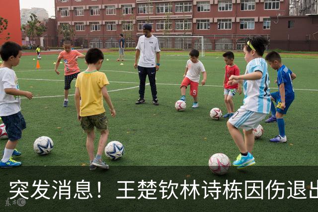 突发消息！王楚钦林诗栋因伤退出中国大满贯，亚运激战留伤病隐患