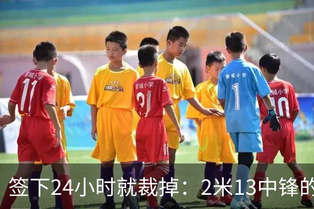 签下24小时就裁掉：2米13中锋的尼克斯一日游