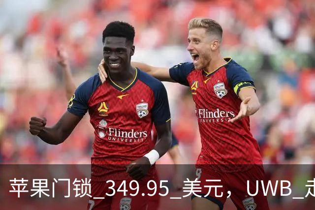 苹果门锁 349.95 美元，UWB 走近即开