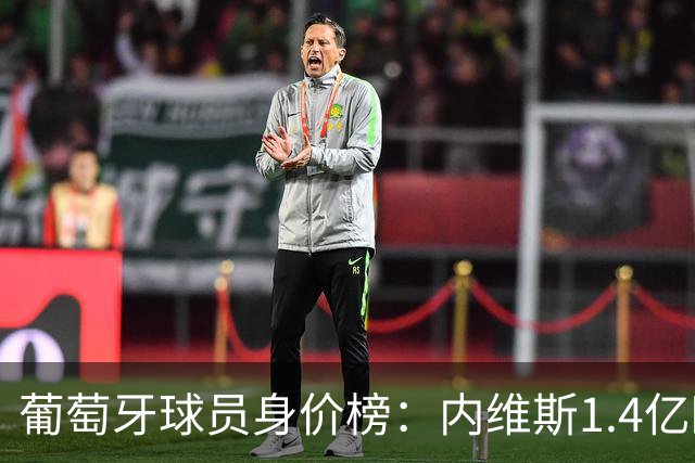 葡萄牙球员身价榜：内维斯1.4亿欧居首，巴黎三人位居前三