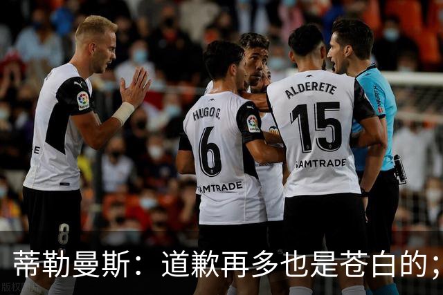 蒂勒曼斯：道歉再多也是苍白的；我们几乎所有环节都脱节了