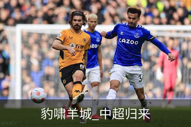 豹啸羊城 中超归来