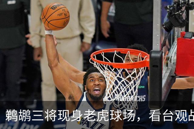 鹈鹕三将现身老虎球场，看台观战莱恩·基芬