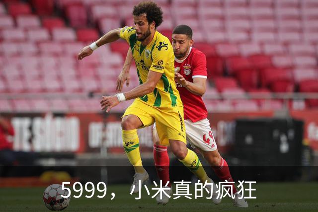 5999，小米真的疯狂