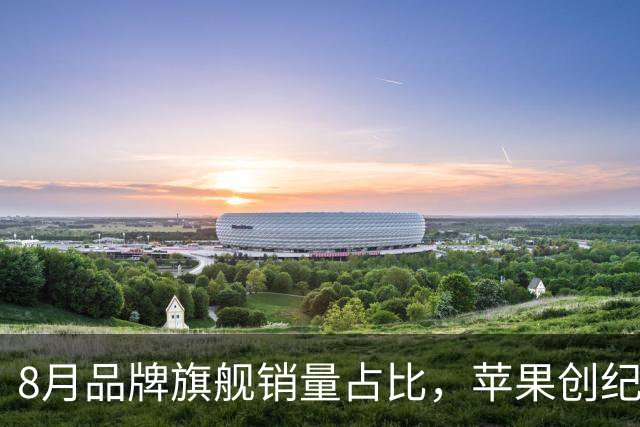 8月品牌旗舰销量占比，苹果创纪录，华为43%